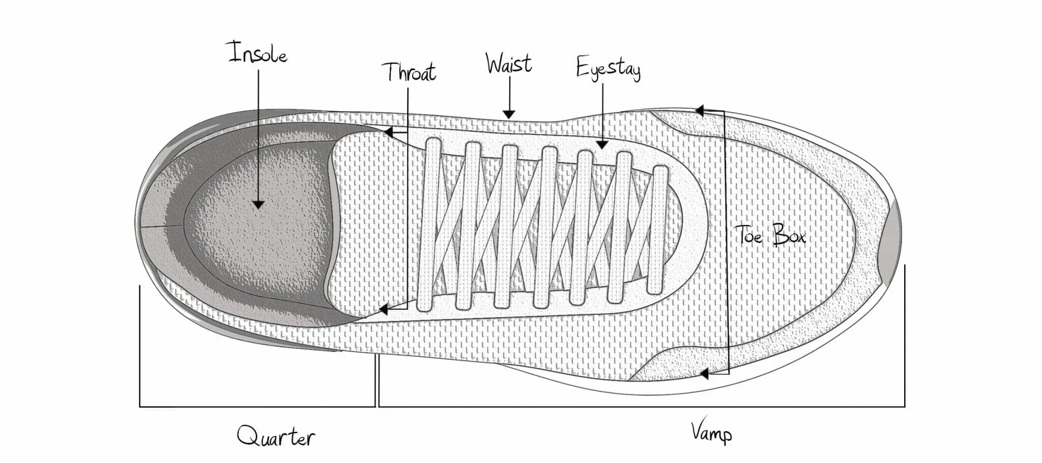 Overhead diagram of shoe anatomy with vamp and quarter