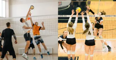 Double stock image of volleyball players.