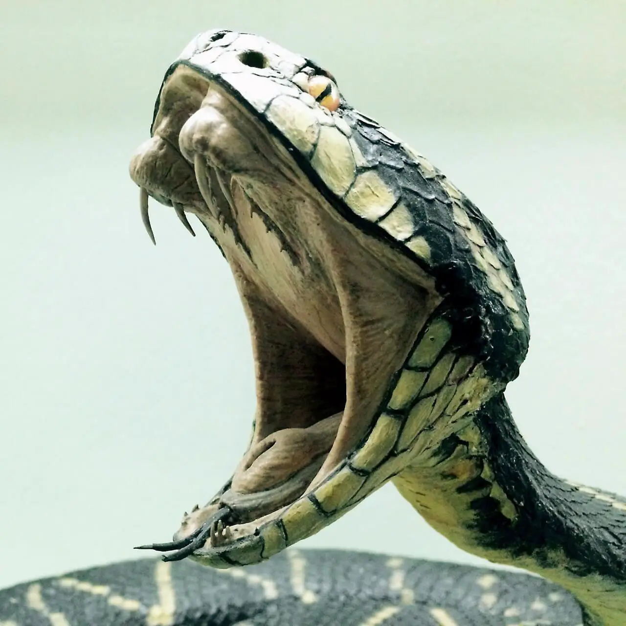 Cobra with detailed view of fangs and venom as it prepares to strike.